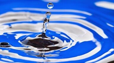 the essence of an eating diet for weight loss